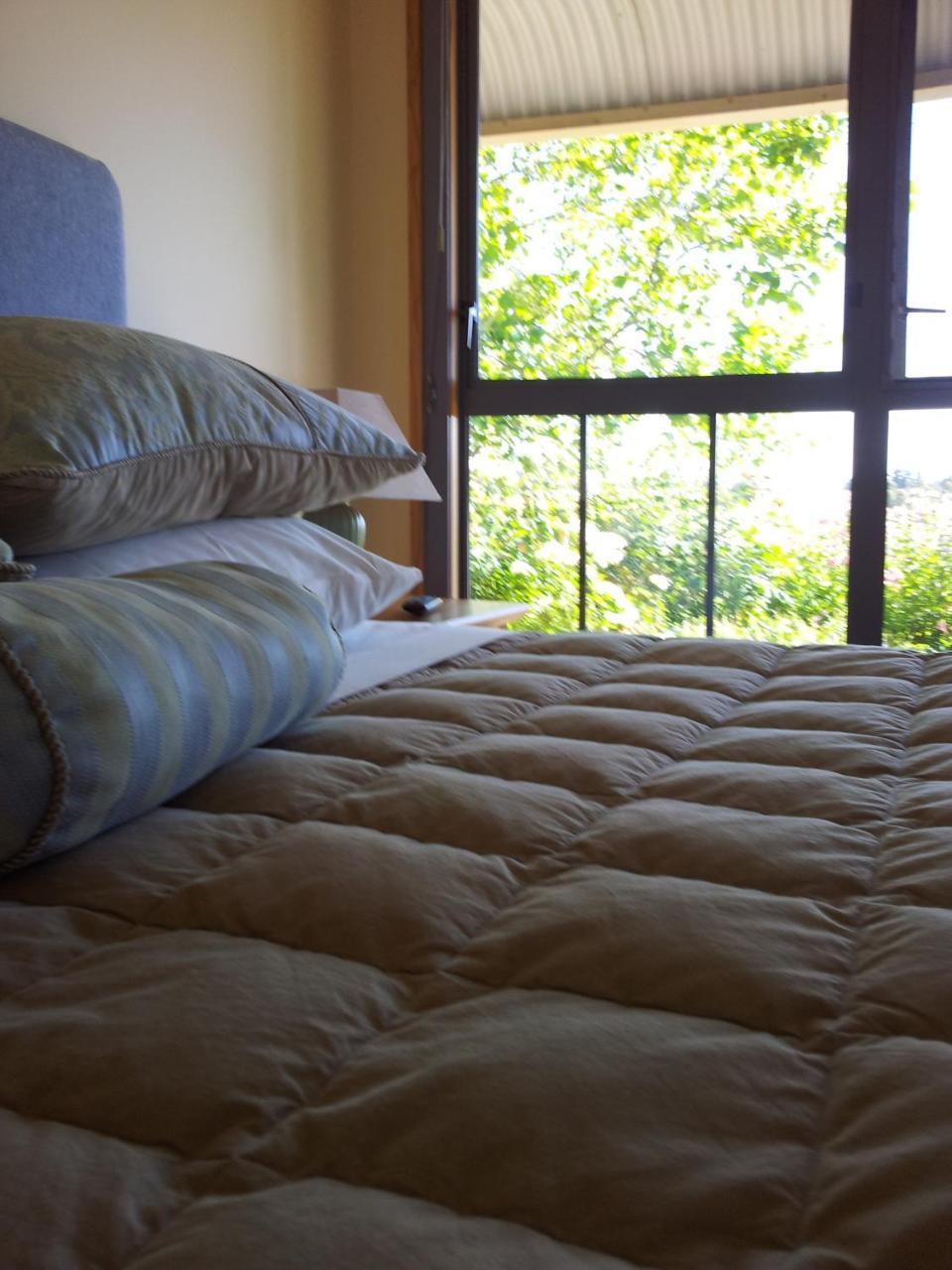 Hawkdun Rise Vineyard & Accommodation Alexandra Dış mekan fotoğraf